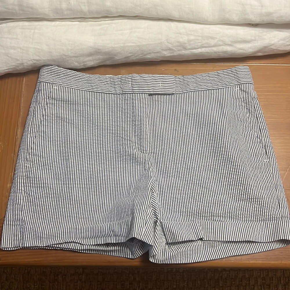 Ann Taylor Blue Striped Shorts
